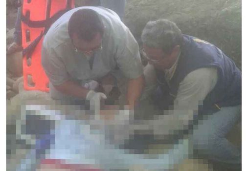 Falleció en la vía de Yopal a Paz de Ariporo