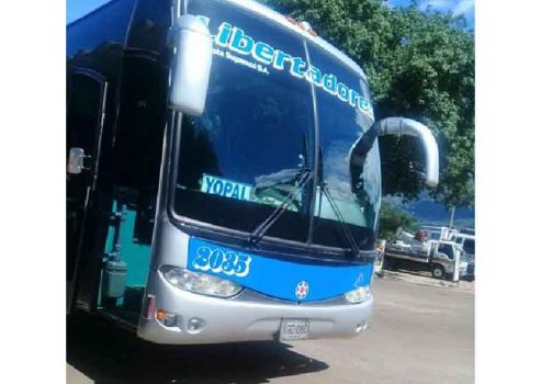 Bus presuntamente vinculado por la quejosa.