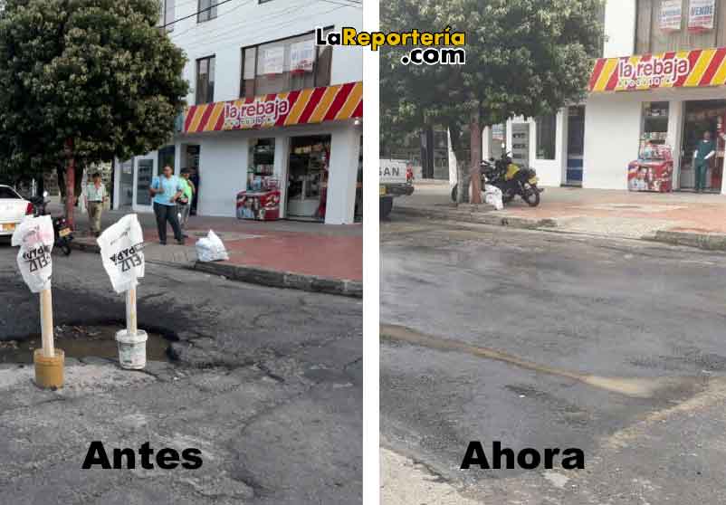 Sectores intervenidos