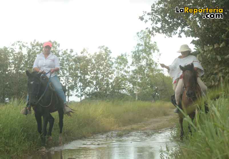 Narda Perilla en Punto Nuevo /