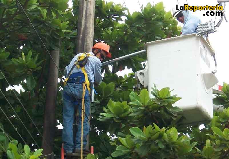 Los trabajos que realizará Enerca en el norte de Casanare.