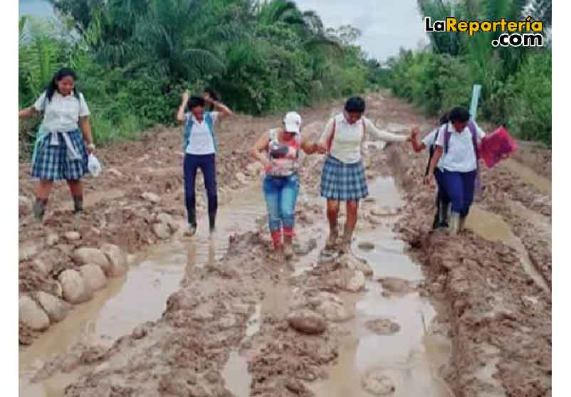 Vía Trinidad - Bocas del Pauto.