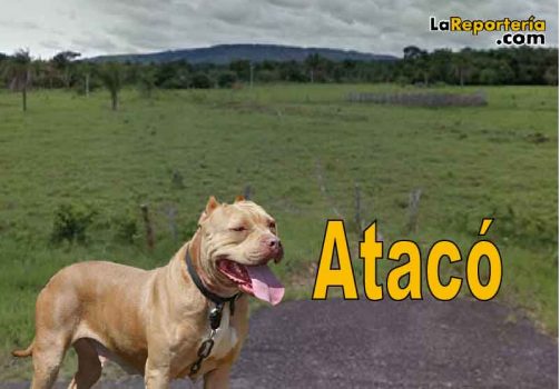 En ese predio fue atacada mujer de 52 años. Puesta en escena.