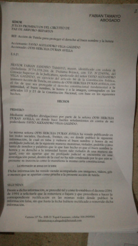 Tutela interpuesta por el alcalde Favio Vega.