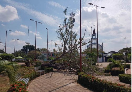 Parque de Hato Corozal -