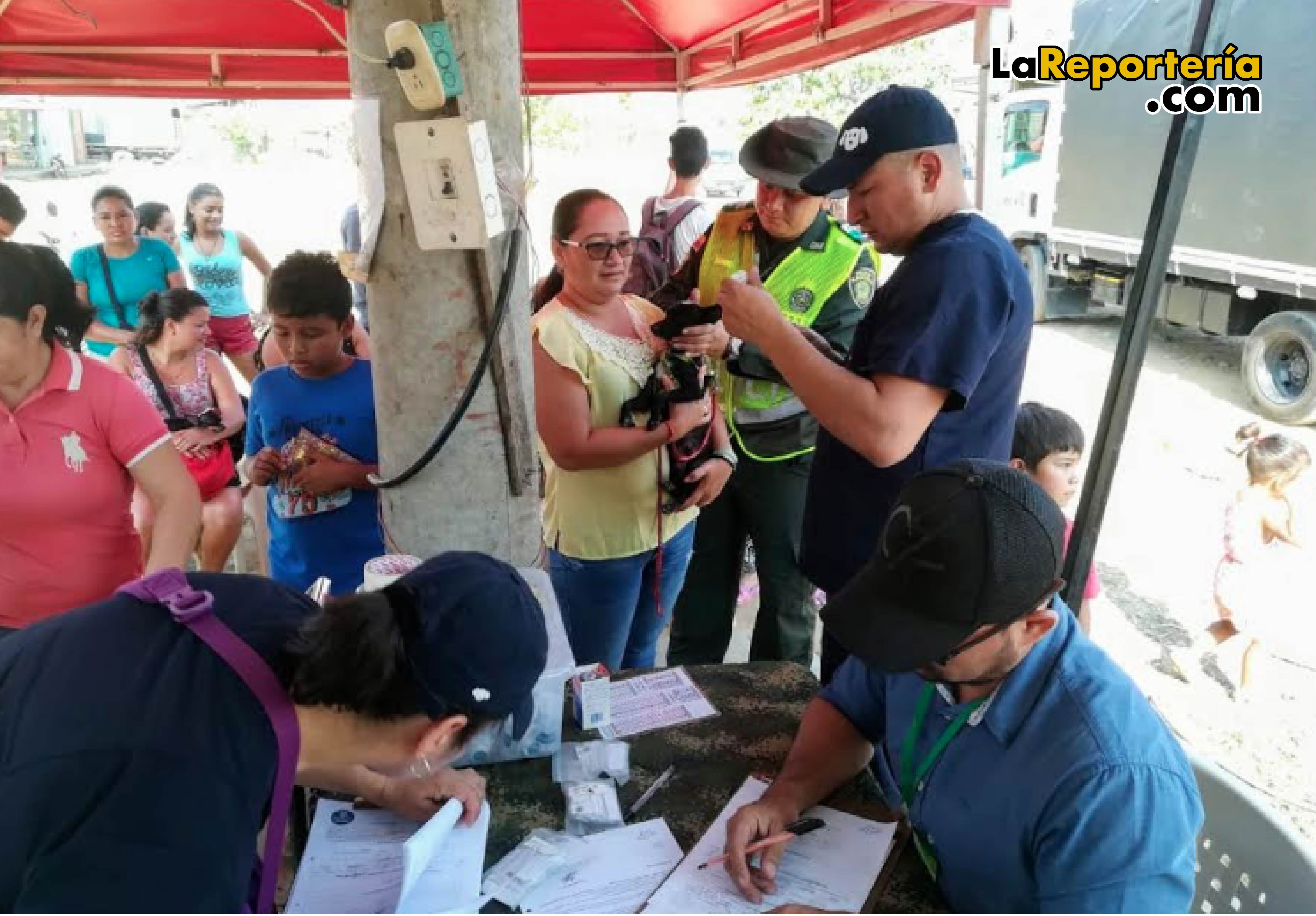 Jornadas de esterilización de gatos y perros.