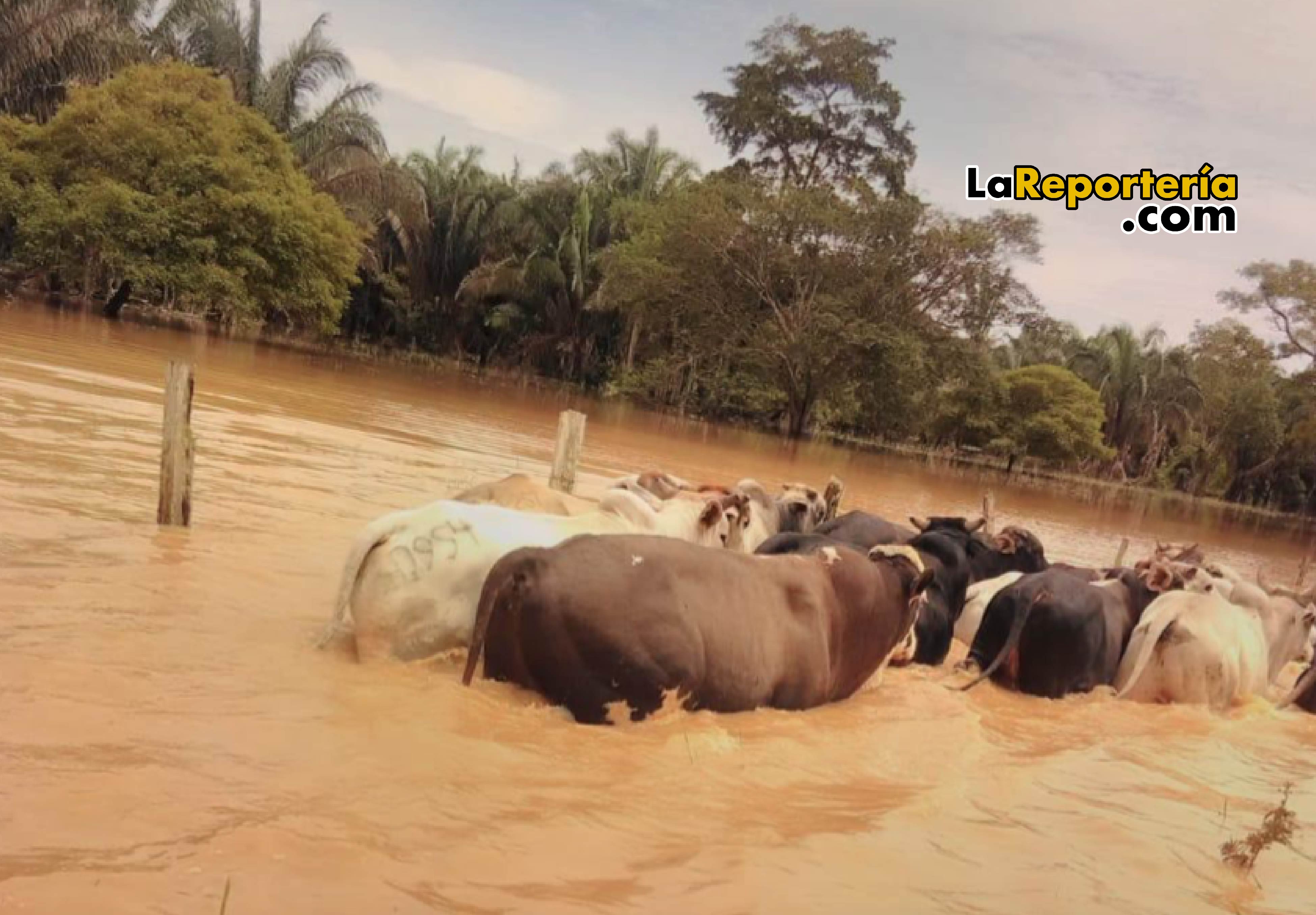 Lluvias afectan a varios municipios de Casanare.