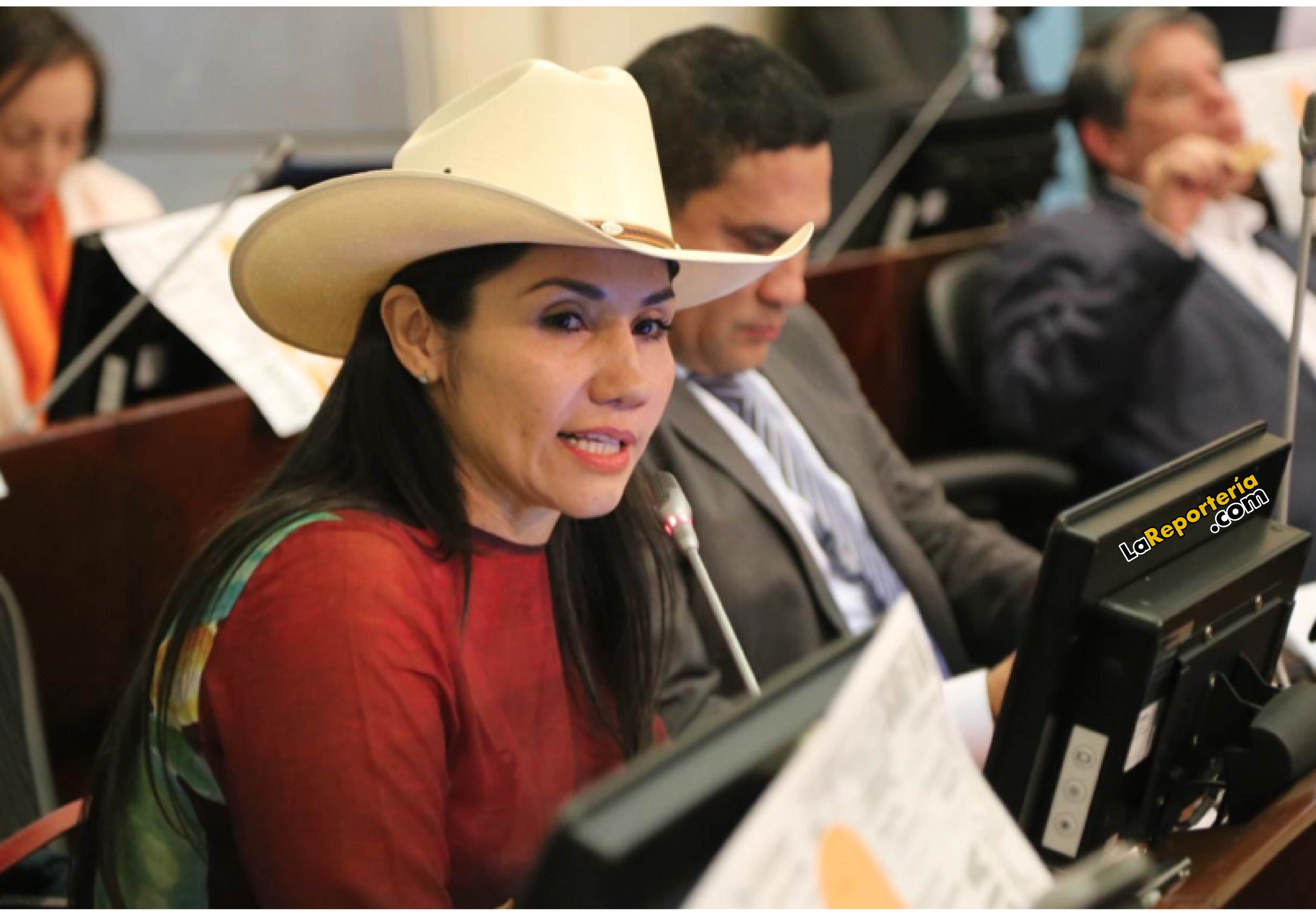 Senadora Amanda Rocío González